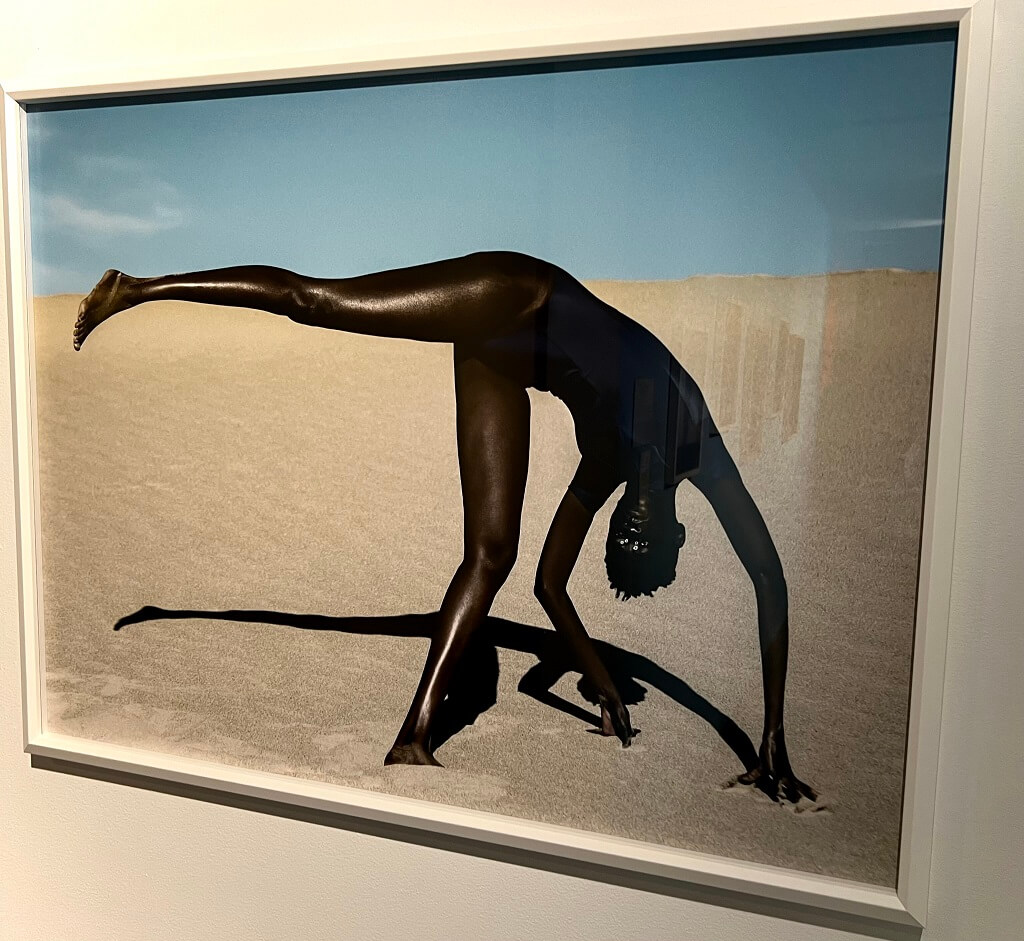 Dana Scruggs. Nyadhour, Elevated, Death Valley, 2018. New Black Vanguard. MoAD.