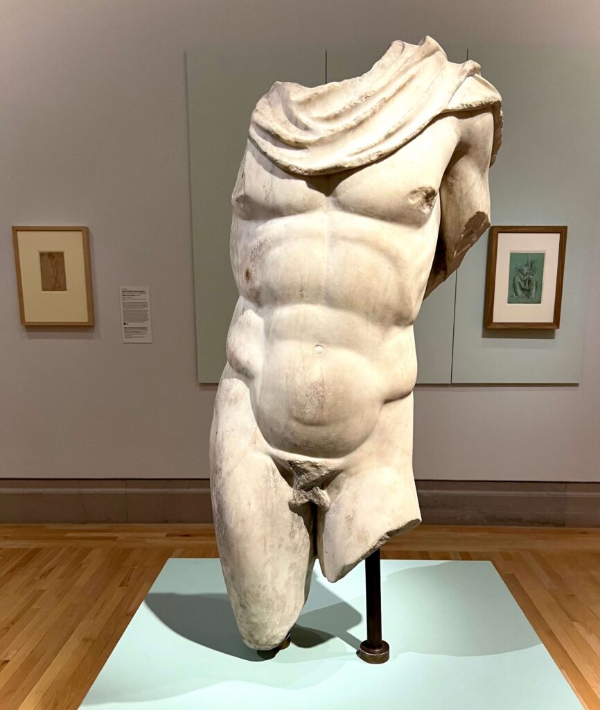 Torso of Hermes, Roman 2nd Century AD After Polykleitos (Greek, ca. 490–425 BC). Botticelli Drawings. Legion of Honor, SF.