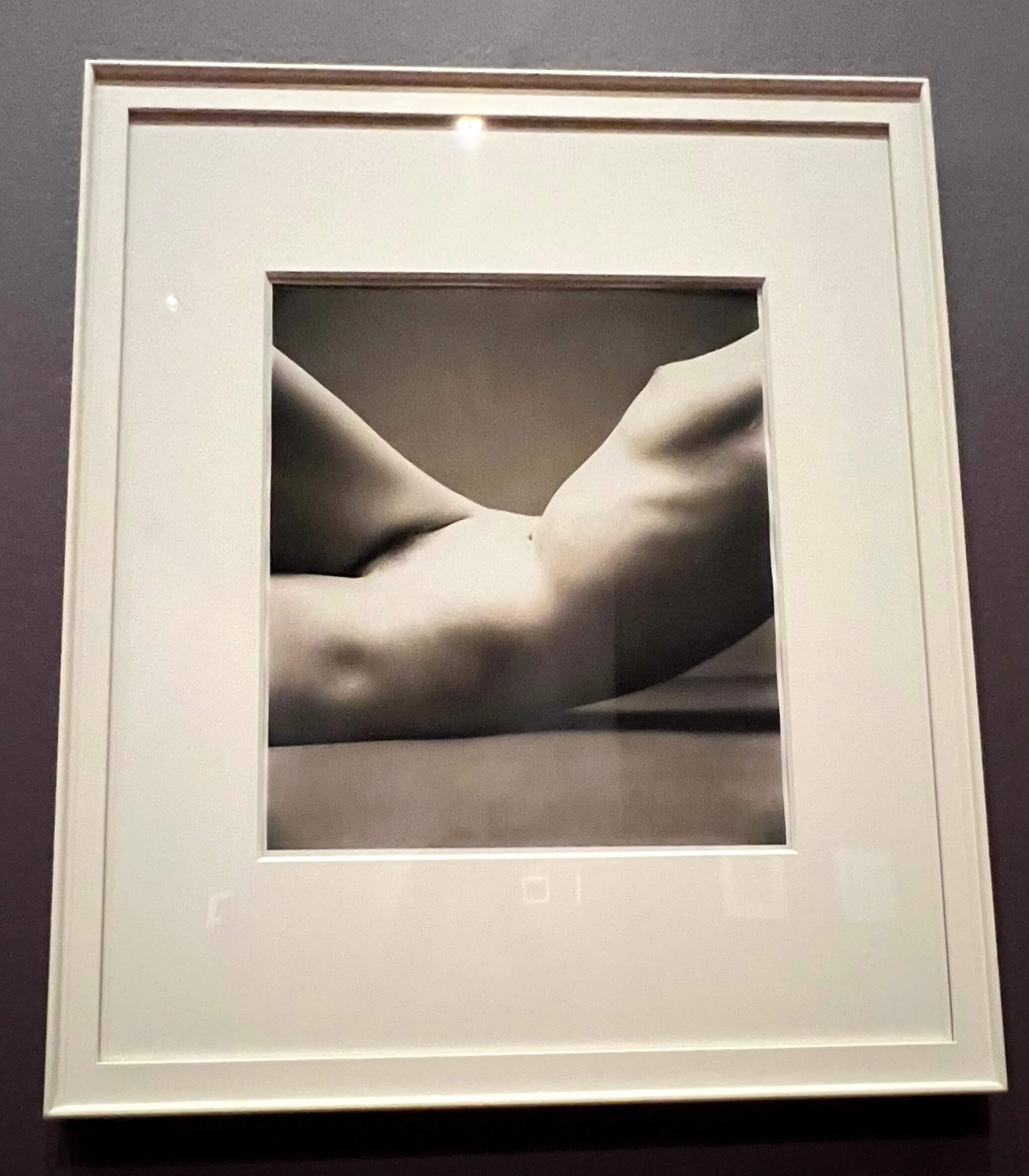 Irving Penn. Nude No. 40, 1949–50, Printed 1949–50. Irving Penn Retrospective. de Young Museum, SF.