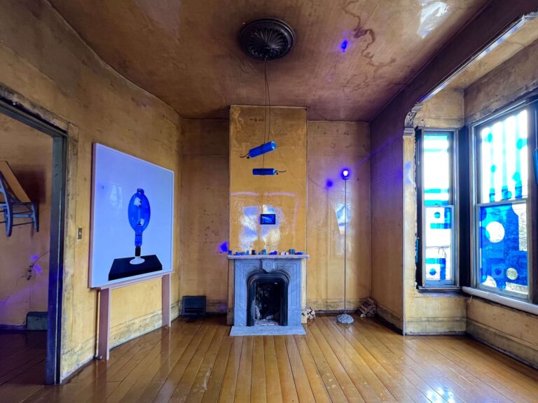 catherine wagner blue reverie installation view 500 capp street san francisco a love letter to art 768x576